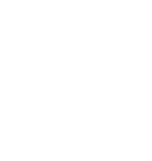 Geographica Srl