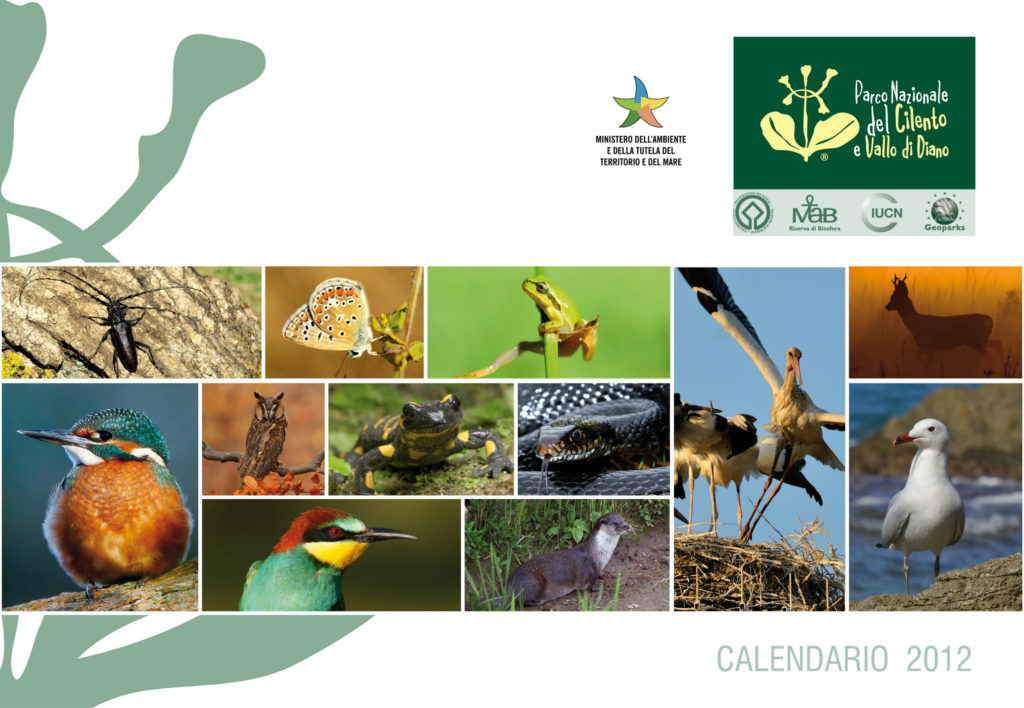 Geographica Srl - Calendario 2012