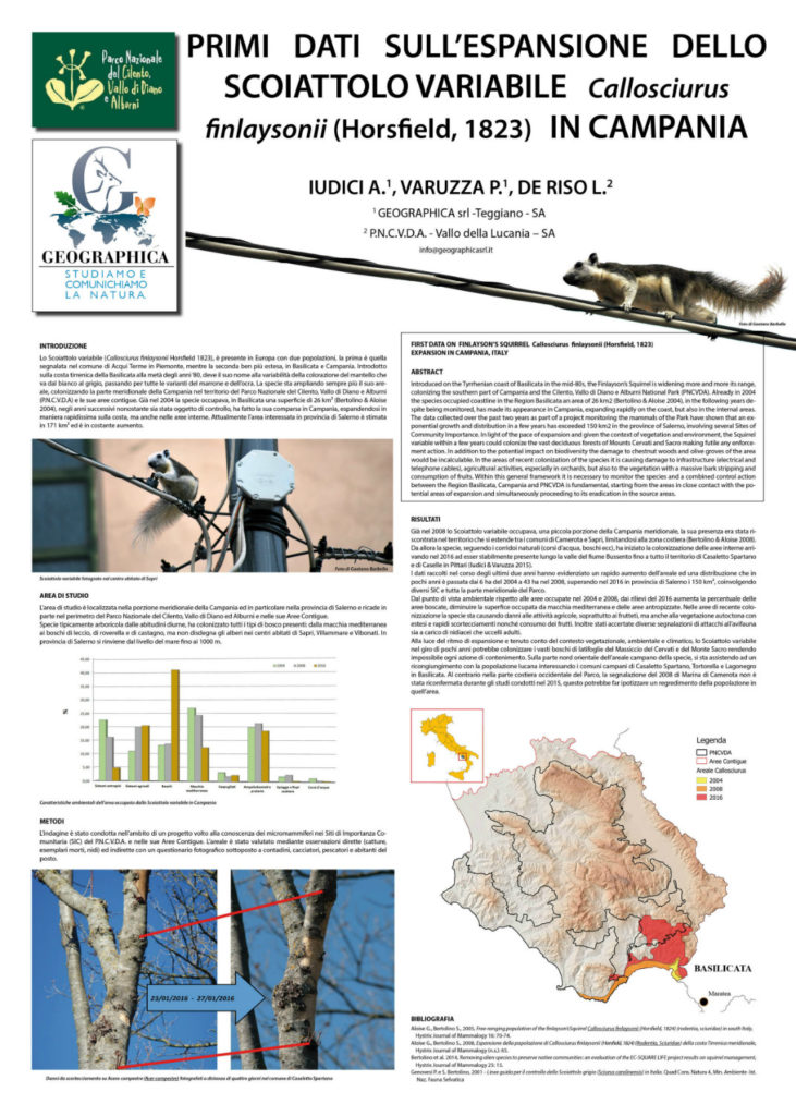 Primi dati sull'espansione dello scoiattolo